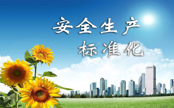 安全生产标准化建设的内容有哪些?